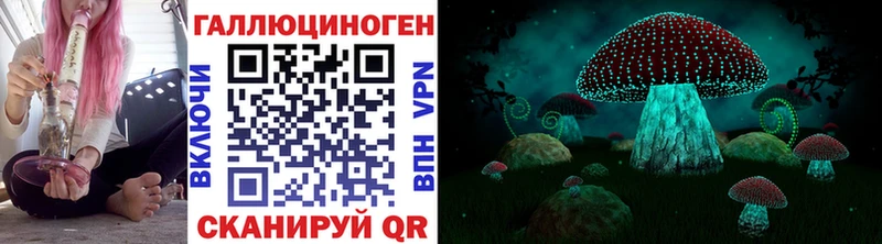 Псилоцибиновые грибы Psilocybine cubensis blacksprut как зайти Верхняя Пышма закладка